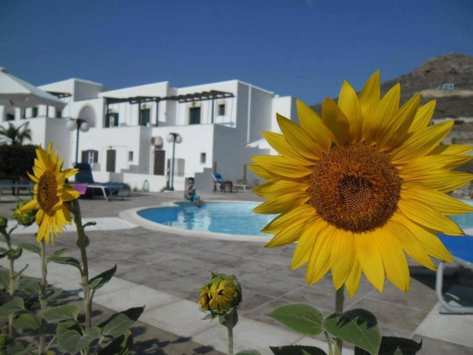 Delight Apartments Suites Стелида Экстерьер фото
